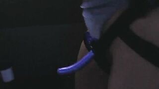 The Reverse Perverse