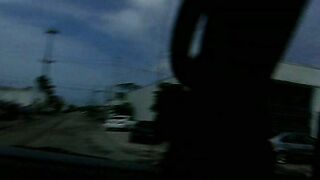 The Lucky Way Of The Cock