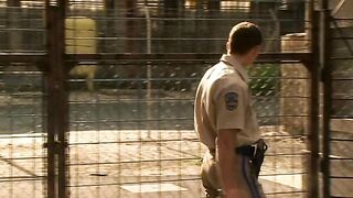 Jailhouse Cock 2 (2006)