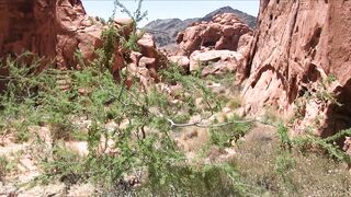 Cash takes Devon's load