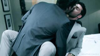 Diary of a Fox - Wednesday