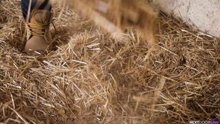 Hay Bros (Carter Woods, Julian Brady)